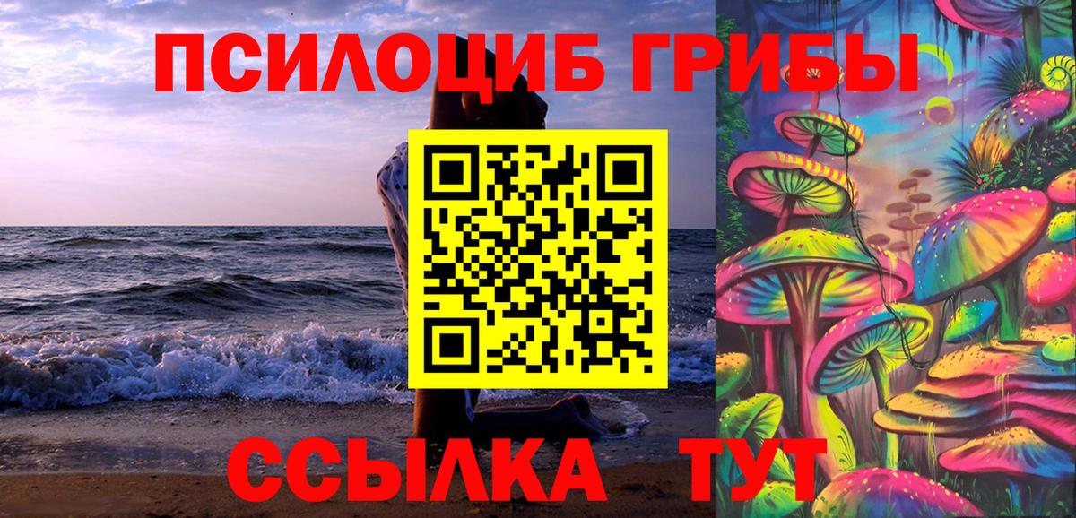 Псилоцибиновые грибы Cubensis  купить наркотик  Кемерово  Вход с VPN 