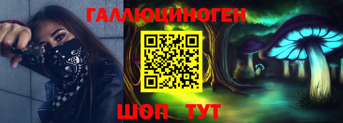 Псилоцибиновые грибы Psilocybe Кемерово